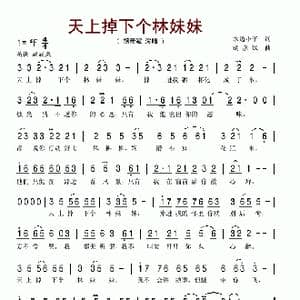 天上掉下个林妹妹_歌谱投稿_词曲:水边小子 胡彦斌