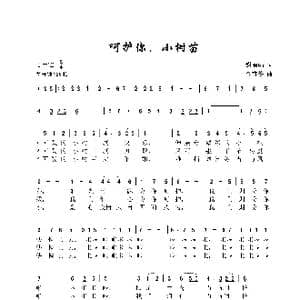 呵护你,小树苗_歌曲简谱_词曲:谢丽娟 金苗苓