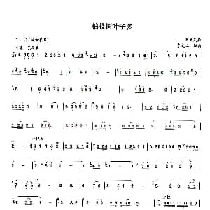 葫芦丝谱 | 柏枝树叶子多