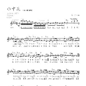 电子琴谱 | 水中花 线简混排弹唱谱 简宁 简宁