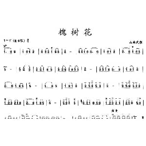 二胡谱 | 槐树花