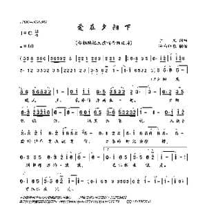 爱在夕阳下_歌曲简谱_词曲:于文 于文