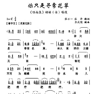 云南花灯 你只是寻常花草 哑姑泉 甜姑唱段 张万一 张沛 苏庆煌编曲