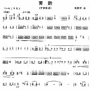 苦韵 中音板胡