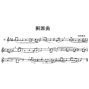 田园曲 小号 泊戈列西