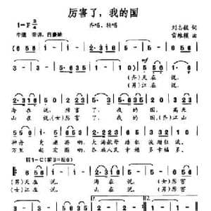 厉害了,我的国_民歌简谱_词曲:刘志毅 雷维模