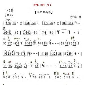 梅花引_歌曲简谱_词曲: 徐沛东
