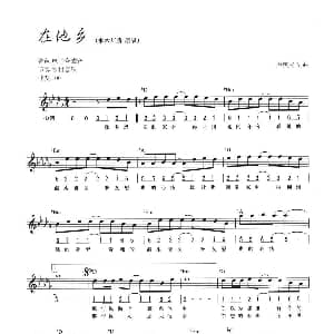电子琴谱 | 在他乡 线简混排弹唱谱 卢庚戌 卢庚戌