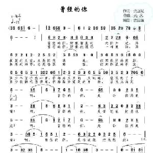 曾经的你_通俗唱法乐谱_词曲:龚正斌 南风