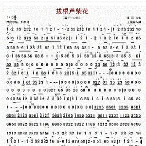 拔根芦柴花_歌曲简谱_词曲: 王爱康编曲