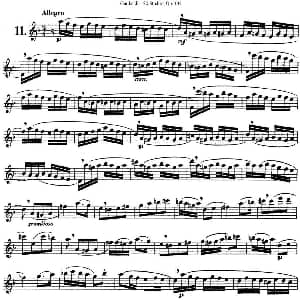 长笛曲谱 | 二十首练习曲作品132号之11 Garibold 加里波第