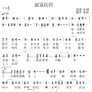 寂寞彷徨_通俗唱法乐谱_词曲:国米 燕青