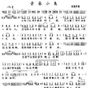 青春小鸟_民歌简谱