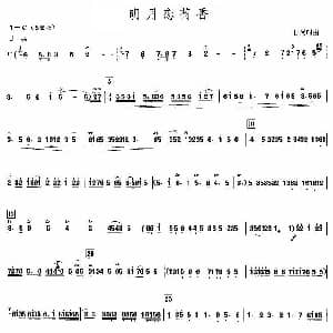 明月恋荷香 高胡 甘时尚