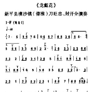 葫芦丝谱 | 龙戴花