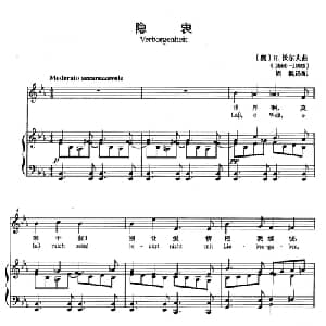 隐衷 奥地利 _外国歌谱_词曲: 奥 H 沃尔夫