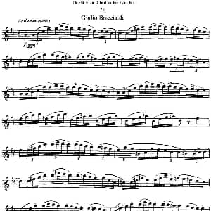 长笛曲谱 | 斯勒新老风格长笛练习重奏曲 第一部分 NO.74 NO.75 Siegfried Thiele S. 斯勒