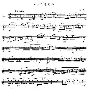 萨克斯谱 | 萨克斯练习曲合集 3—45 c小调练习曲 贝尔