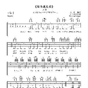 因为遇见你_歌曲简谱_词曲:佚名 佚名