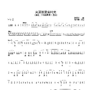 豫剧谱 | 夫妻恩爱度时光 豫剧 同根异果 选段 刘晓燕 耿玉卿