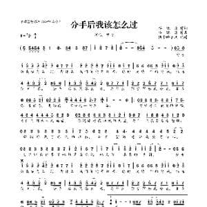 ​分手后我该怎么过_歌曲简谱_词曲:李晓舟 李晓舟