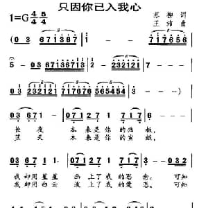 只因你已入我心_美声唱法乐谱_词曲:苏柳 王沛