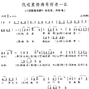 花鼓戏谱 | 我这里将海哥好有一比 刘海戏金蟾 胡秀英 刘海唱段