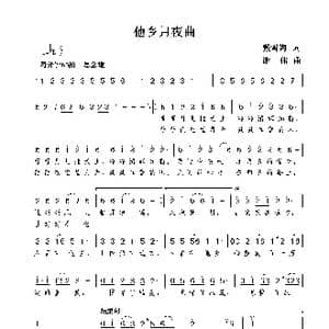 他乡月夜曲_歌曲简谱_词曲:戴雪海 谢伟