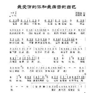 最受伤的你和最痛苦的自己_歌曲简谱_词曲:田宇 杨晓旭