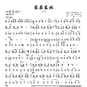家在东北_歌曲简谱_词曲:庞龙 庞龙 韩东 孔加欢