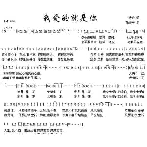 我爱的就是你_通俗唱法乐谱_词曲:诗心 孙致平
