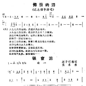 铁窗泪_通俗唱法乐谱_词曲:赵子明填词