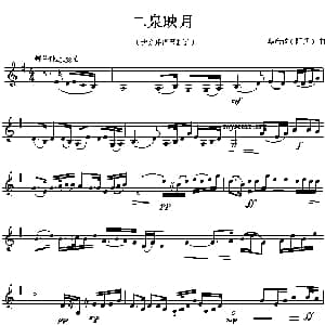 二泉映月 民乐名曲旋律 五线谱