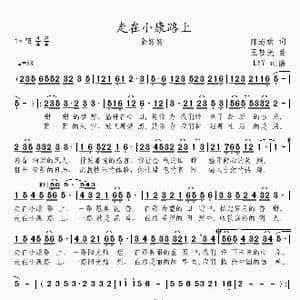 走在小康路上_歌曲简谱_词曲:陈道斌 王黎光