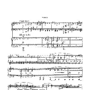 根据21首钢琴奏鸣曲改编的双钢琴版钢琴奏鸣曲四首 钢琴谱 沃尔夫冈 阿玛多伊斯 莫扎特曲 格里格改编