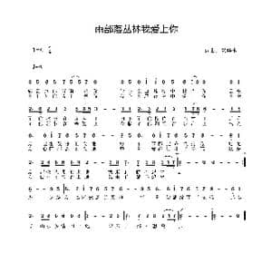 雨部落丛林我爱上你_歌谱投稿_词曲:安华水 安华水