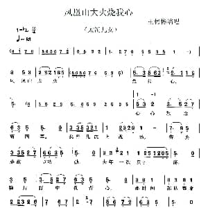 锡剧 凤凰山大火烧我心 太湖儿女 选段