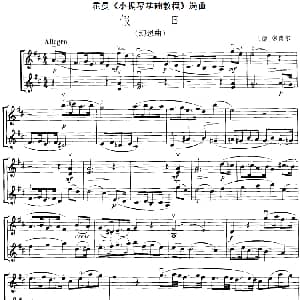 小提琴谱 | 霍曼 小提琴基础教程 选曲 假日 二重奏 德 多曹尔