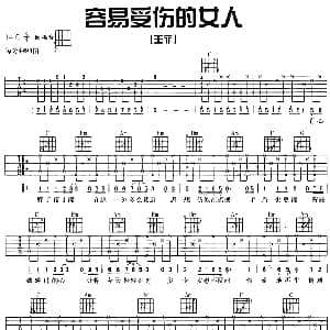 容易受伤的女人 吉他谱 王菲