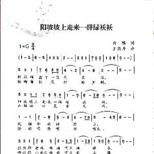 阳坡坡上走来一群绿袄袄_歌谱投稿_词曲:白麟 王焕升