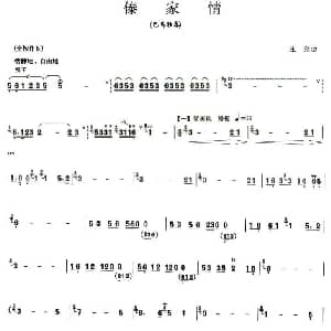 傣家情 巴乌谱 王朔