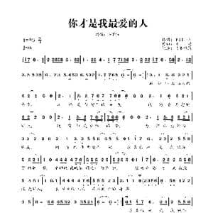 你才是我最爱的人_歌曲简谱_词曲:禾门丰少 习冠