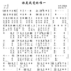你是我爱的唯一_通俗唱法乐谱_词曲:龚正斌 南风