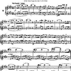 长笛曲谱 | 柯勒40首长笛提高练习曲OP.55 二重奏 NO.4 Kohler 柯勒