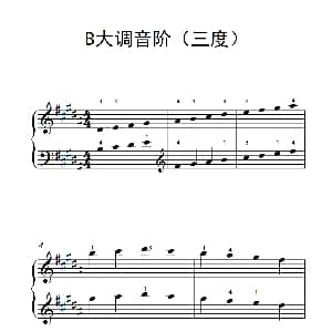B大调音阶 钢琴谱