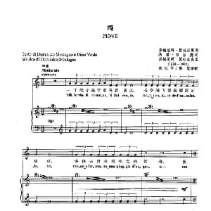 49雨 意大利 _外国歌谱_词曲:多梅尼珂 莫杜尼奥/狄诺 韦尔德 多梅尼珂 莫杜尼奥