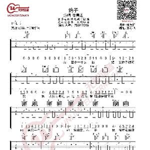 徐秉龙 鸽子 吉他谱_歌曲简谱