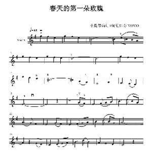 春天第一朵玫瑰 _歌谱投稿