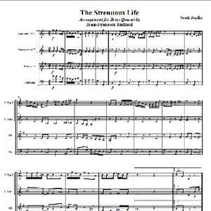 乔普林 艰苦的生活_歌谱投稿_词曲: 斯科特 乔普林