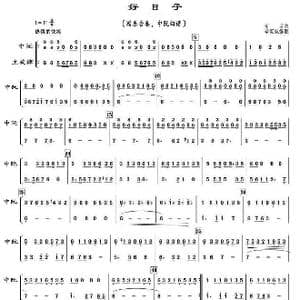 好日子_歌曲简谱_词曲: 李昕